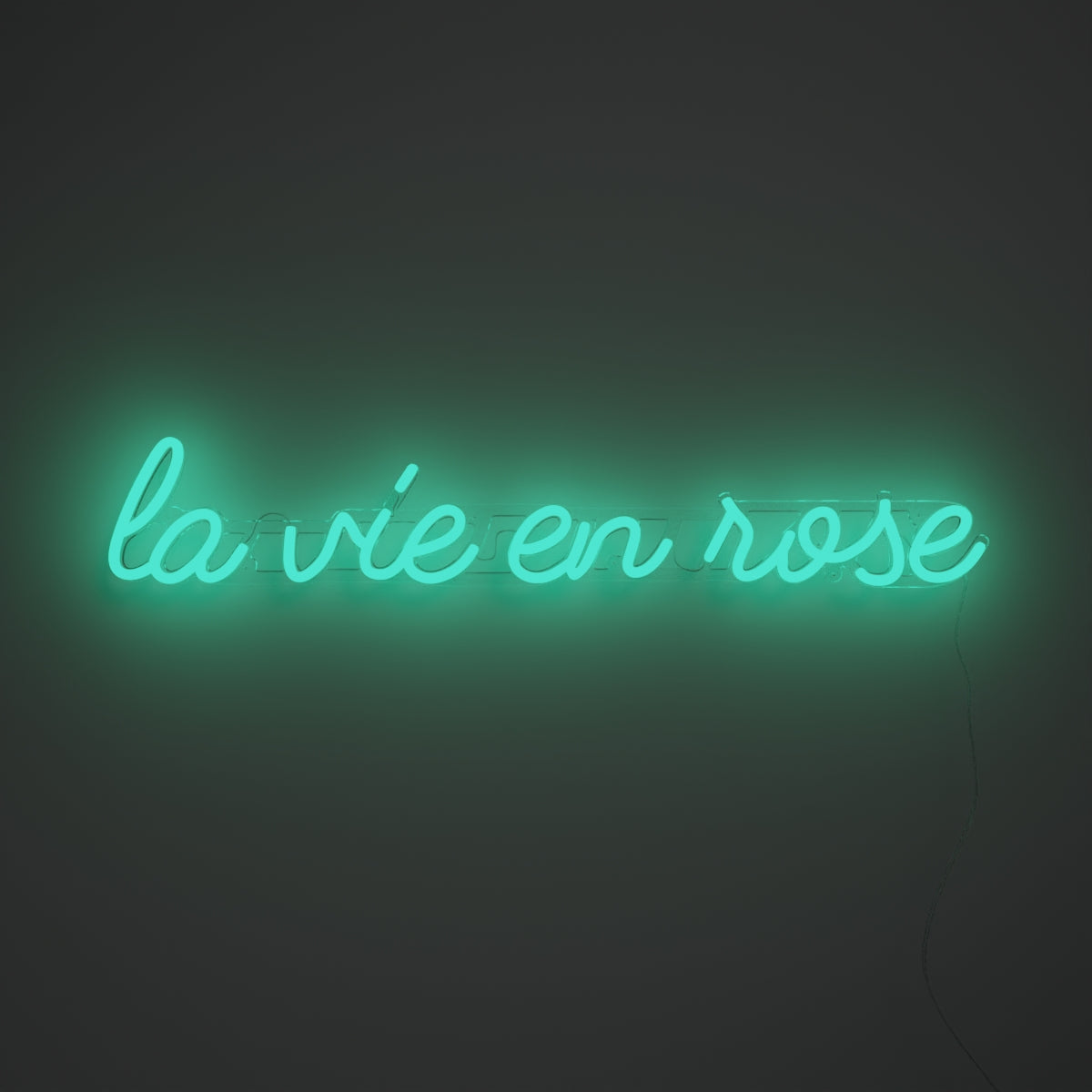 La vie en rose - neon LED sign